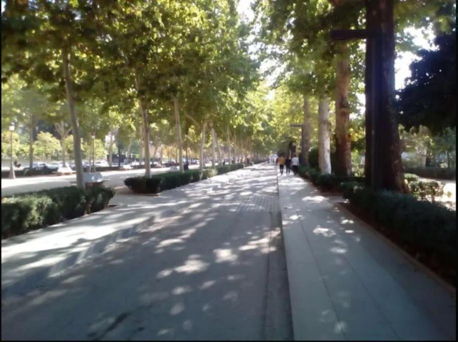 Hogar Del Lirio Appartement Granada Buitenkant foto